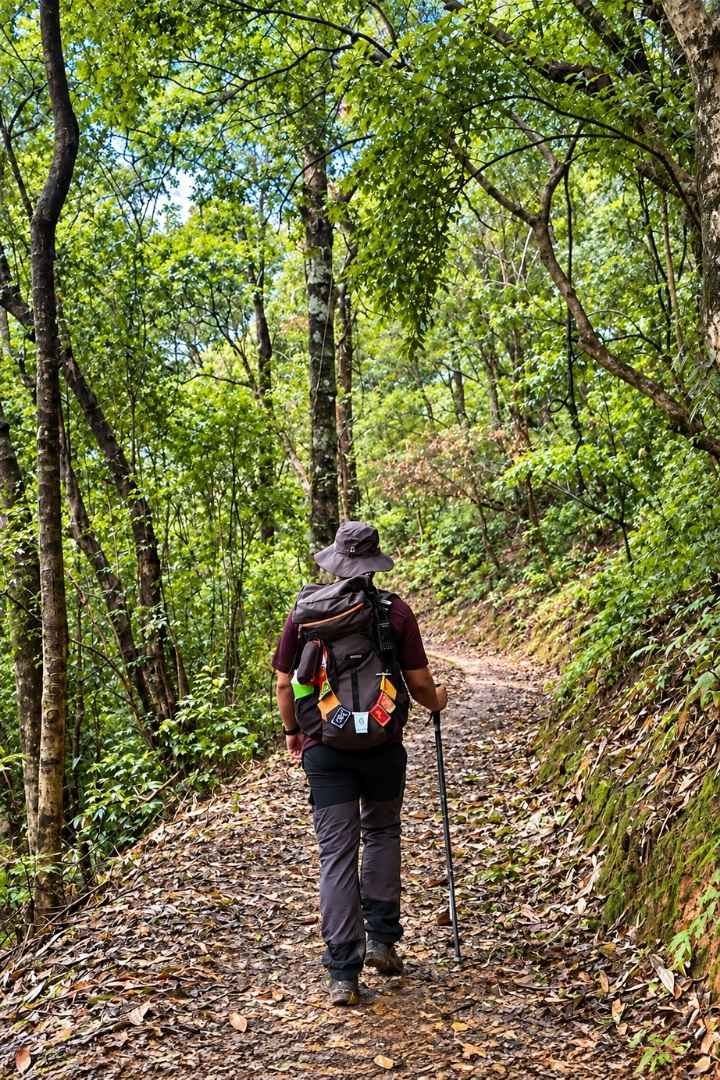 Royal Manas National Park